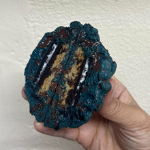 Load image into Gallery viewer, Blue Monster
